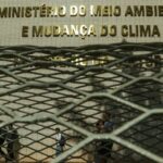 Servidores federais ambientais iniciam greve